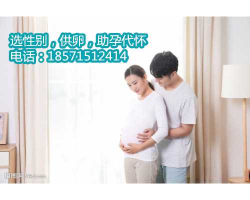 北京助孕价格与代怀生子有何区别