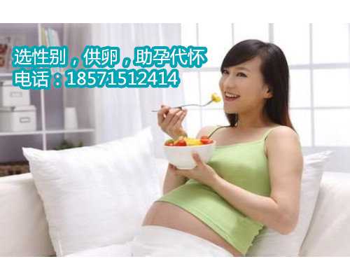 北京助孕价格:您的健康怀孕必备神器