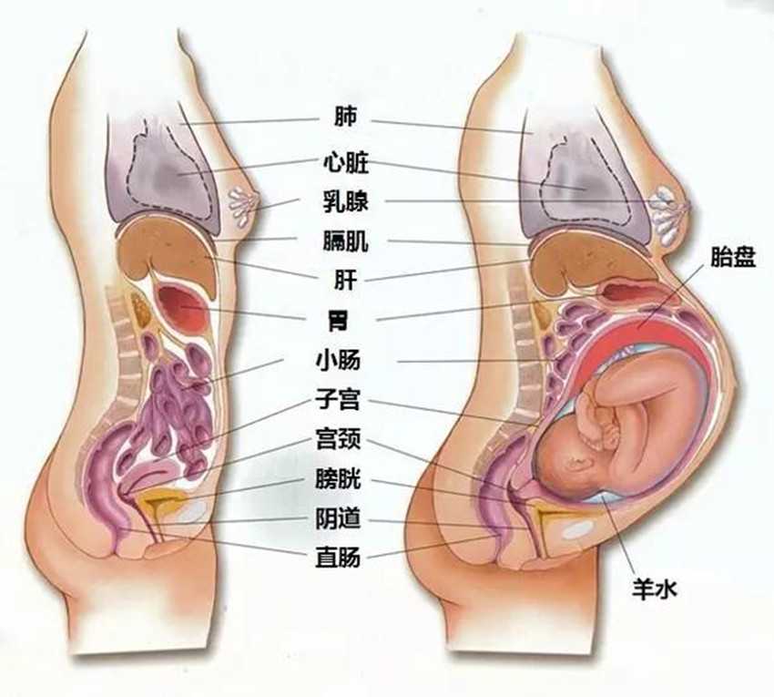 北京供卵助孕中心,是怎样的
